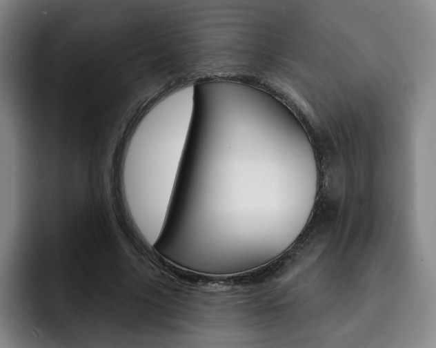 X0000093090635200709260910
