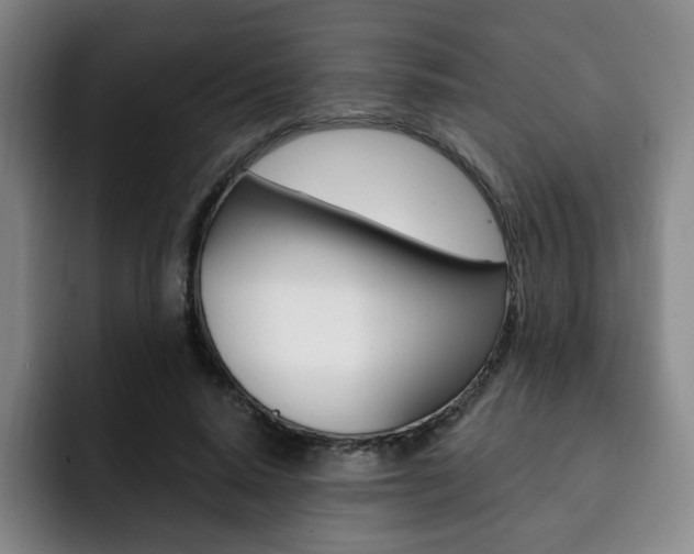 X0000093090640200709260910