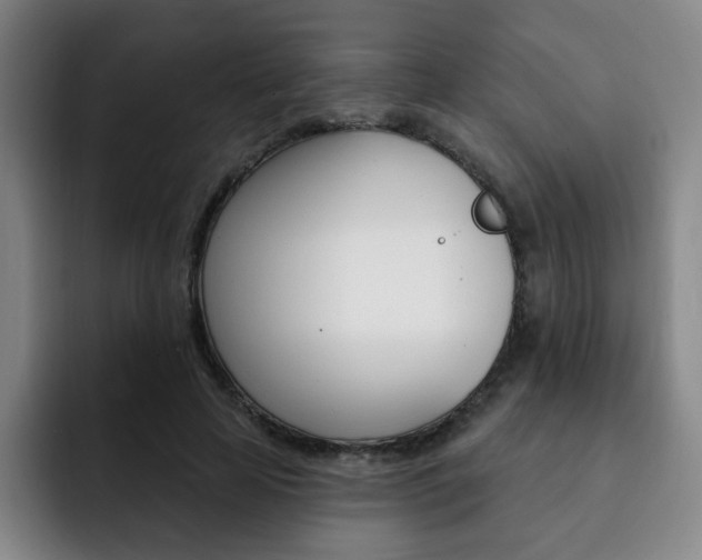 X0000093090641200709260910