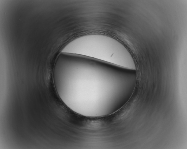 X0000093090645200709260910