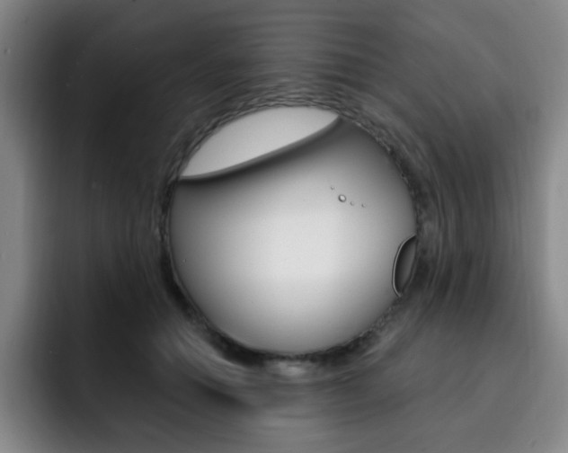X0000093090654200709260910