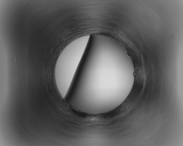 X0000093090655200709260910