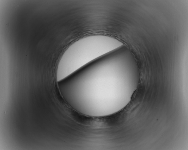 X0000093090656200709260910