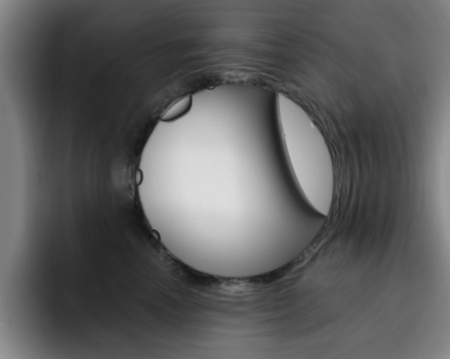 X0000093090666200709260910