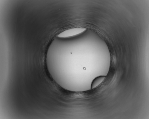 X0000093090668200709260910