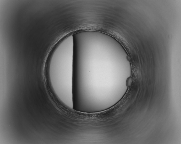 X0000093090674200709260909