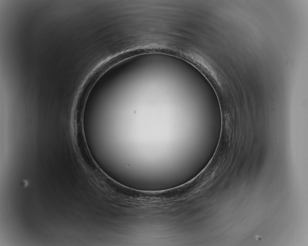 X0000093090676200709260909