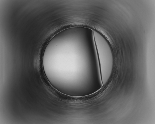 X0000093090677200709260909