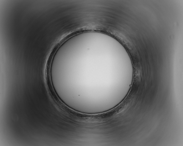X0000093090678200709260909