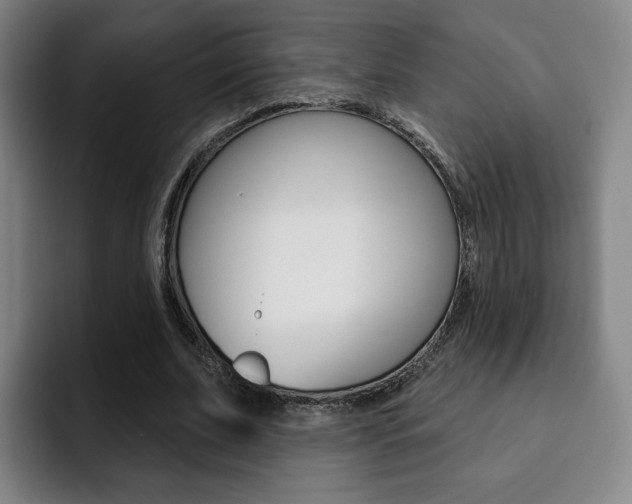 X0000093090679200709260909