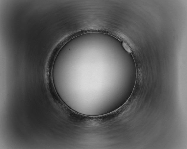 X0000093090680200709260909