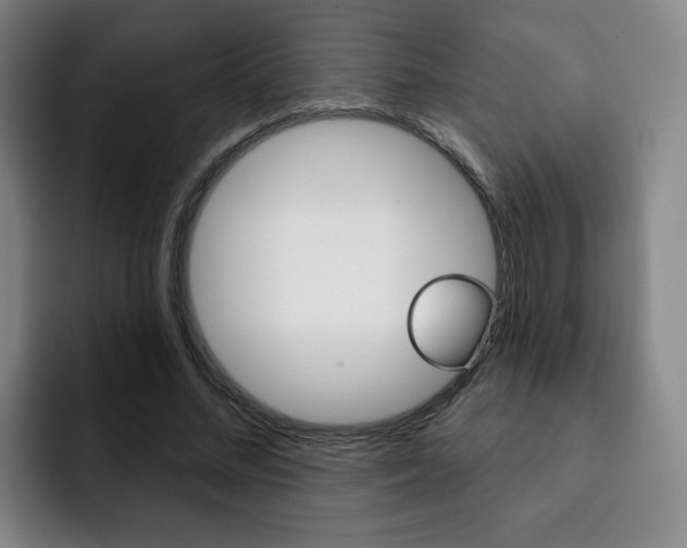 X0000093090684200709260909