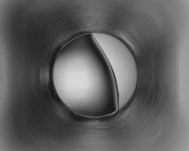 X0000093090685200709260909