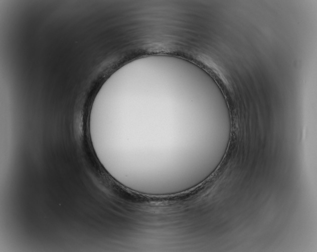 X0000093090686200709260909