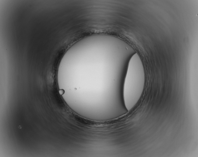 X0000093090691200709260909