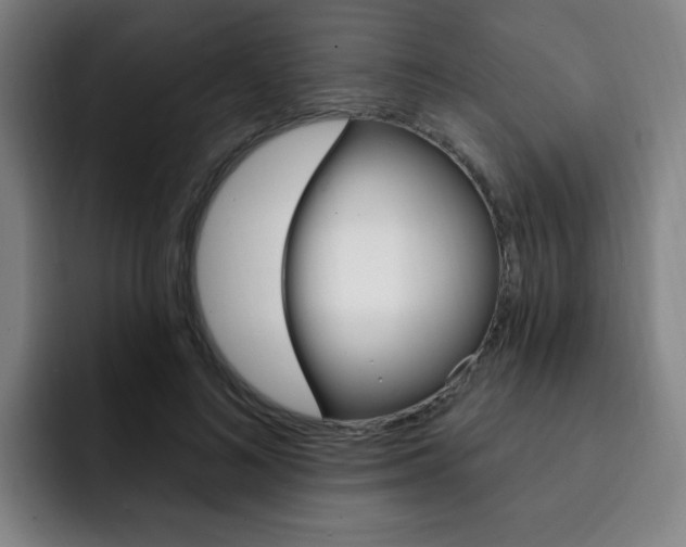 X0000093090692200709260909