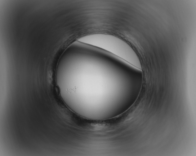 X0000093090693200709260909