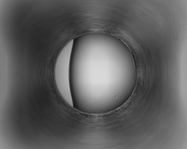 X0000093090696200709260909