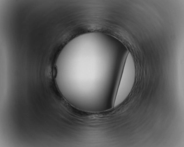 X0000093090700200709260909