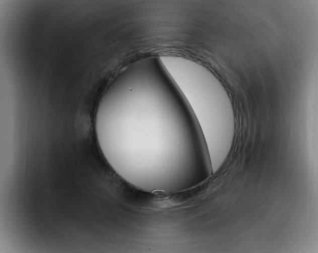 X0000093090704200709260909