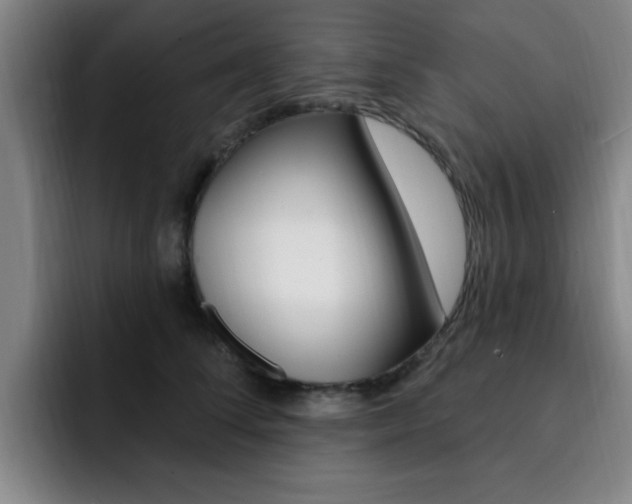 X0000093090708200709260909