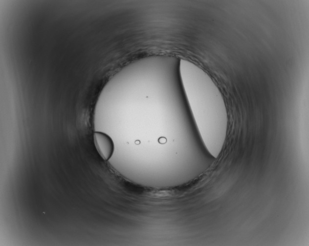 X0000093090711200709260909