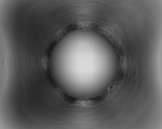 X0000093090712200709260909