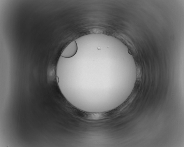 X0000093090717200709260909