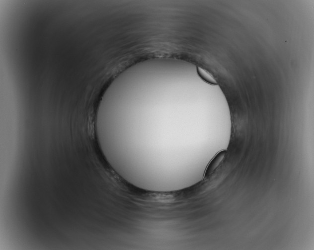 X0000093090719200709260909
