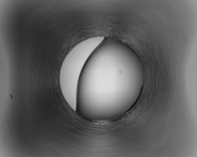 X0000093090720200709260909