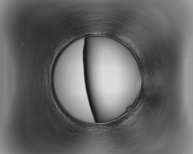 X0000093090721200709260908