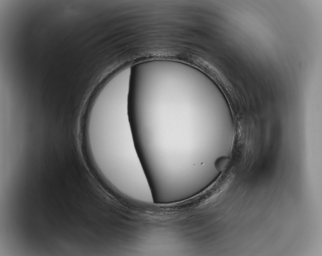 X0000093090725200709260908