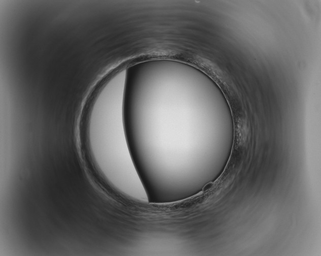 X0000093090726200709260908