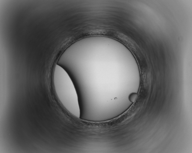 X0000093090729200709260908