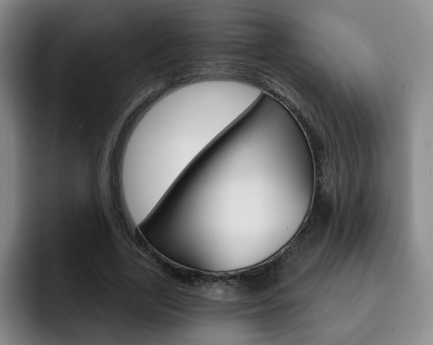 X0000093090731200709260908