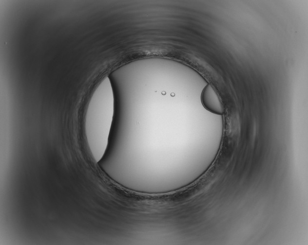 X0000093090733200709260908