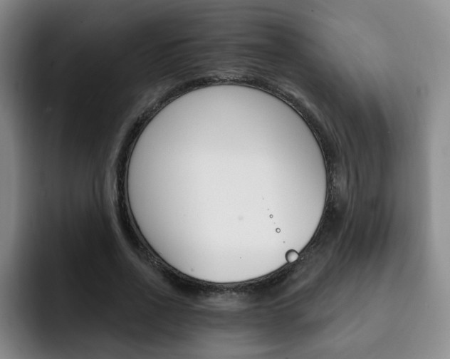 X0000093090734200709260908