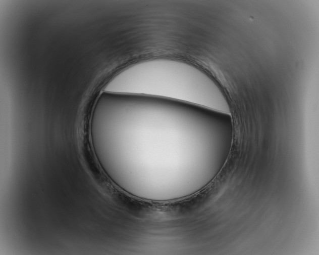 X0000093090736200709260909
