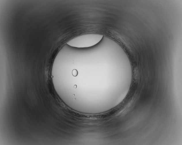 X0000093090741200709260909