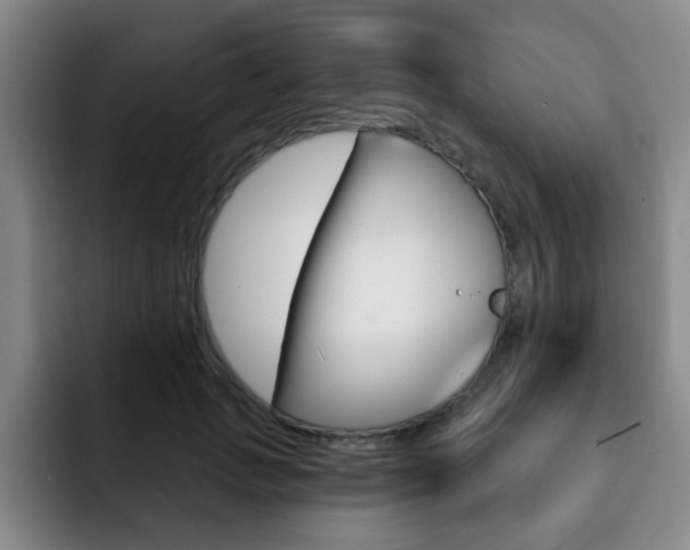 X0000093090749200709260909