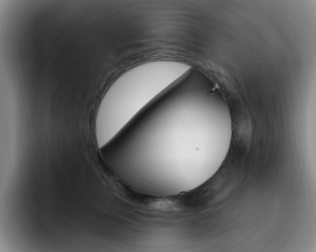 X0000093090759200709260909
