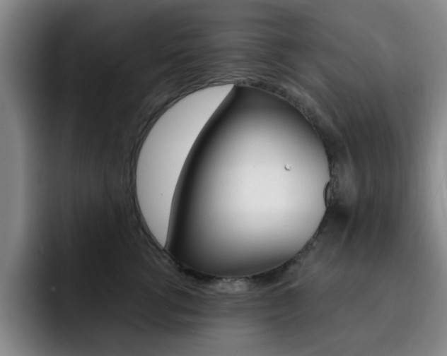 X0000093090762200709260909
