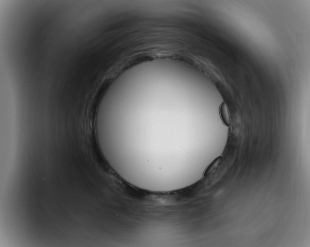X0000093090763200709260909