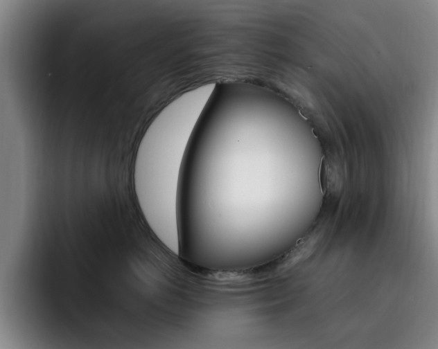 X0000093090766200709260909