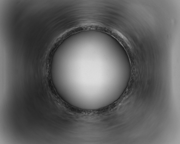 X0000093090775200709260908