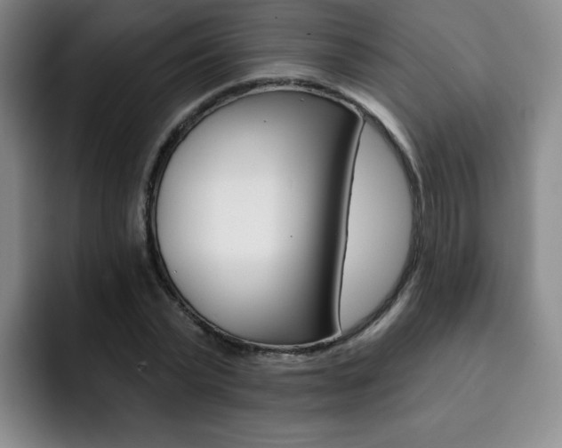 X0000093090783200709260908