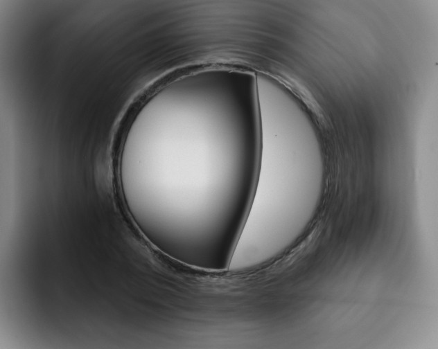 X0000093090784200709260908