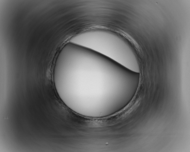 X0000093090785200709260908