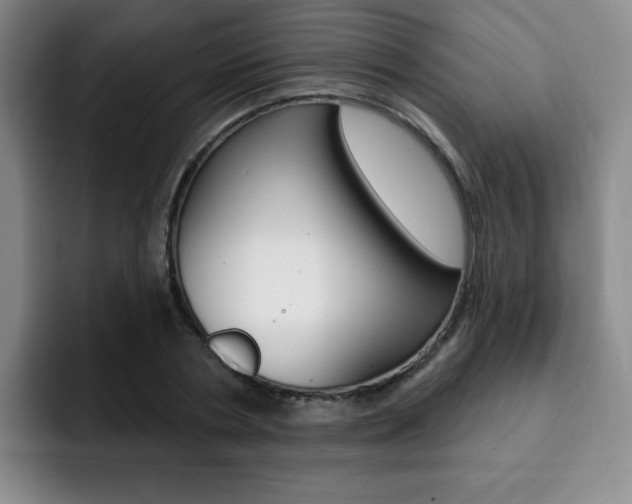 X0000093090786200709260908
