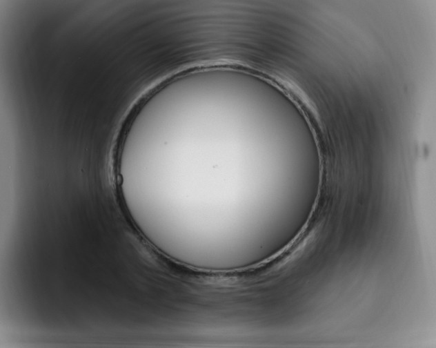 X0000093090789200709260908